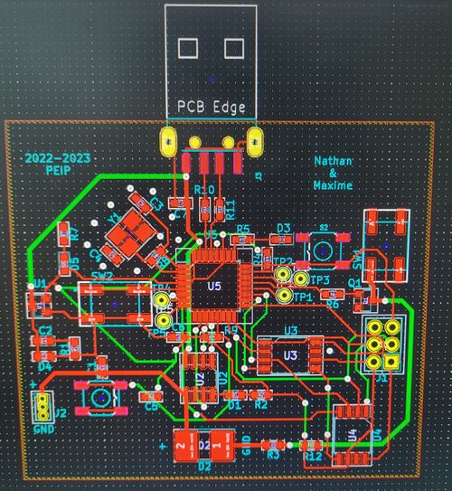 Pcb fini.jpg